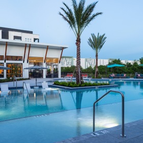 a swimming pool with palm trees
