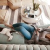 overhead view of  a woman texting as she lies on a couch with a dog at her feet